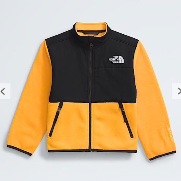 The North Face Other - THE NORTH FACE Boys' Denali Jacket (Little Big Kid) Sz XS 6 Summit Gold Fleece